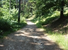 MTB_Puchar_Wojta_znakowanie_trasy_1
