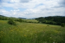 Pielgrzymka_do_kalwarii_5